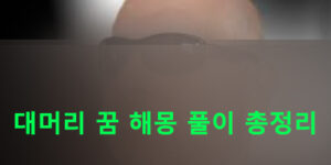 대머리 꿈 해몽 풀이 총정리