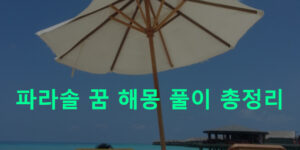 파라솔 꿈 해몽 풀이 총정리