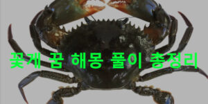 꽃게 꿈 해몽 풀이 총정리