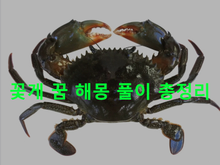 꽃게 꿈 해몽 풀이 총정리