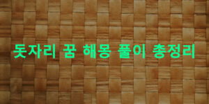 돗자리 꿈 해몽 풀이 총정리