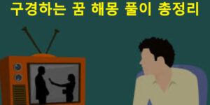 구경하는 꿈 해몽 풀이 총정리