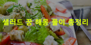 샐러드 꿈 해몽 풀이 총정리