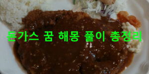 돈가스 꿈 해몽 풀이 총정리