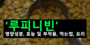 루피니빈 영양성분, 효능 및 부작용, 먹는법, 요리