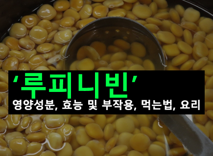 루피니빈 영양성분, 효능 및 부작용, 먹는법, 요리
