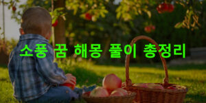 소풍 꿈 해몽 풀이 총정리