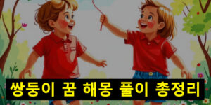 쌍둥이 꿈 해몽 풀이 총정리