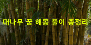 대나무 꿈 해몽 풀이 총정리