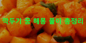 깍두기 꿈 해몽 풀이 총정리