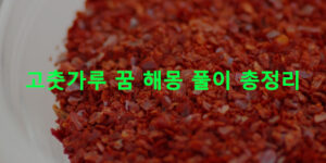 고춧가루 꿈 해몽 풀이 총정리