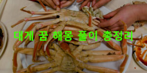 대게 꿈 해몽 풀이 총정리
