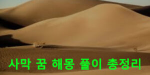 사막 꿈 해몽 풀이 총정리