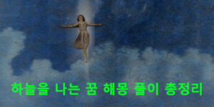 하늘을 나는 꿈 해몽 풀이 총정리