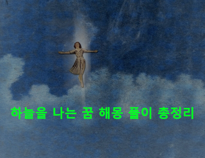 하늘을 나는 꿈 해몽 풀이 총정리