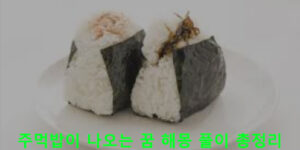 주먹밥이 나오는 꿈 해몽 풀이 총정리