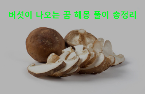 버섯이 나오는 꿈 해몽 풀이 총정리