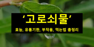 고로쇠물 효능, 유통기한, 부작용, 먹는법 총정리