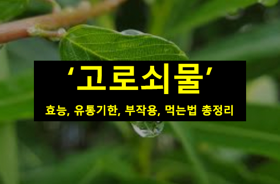 고로쇠물 효능, 유통기한, 부작용, 먹는법 총정리