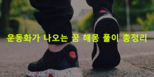 운동화가 나오는 꿈 해몽 풀이 총정리