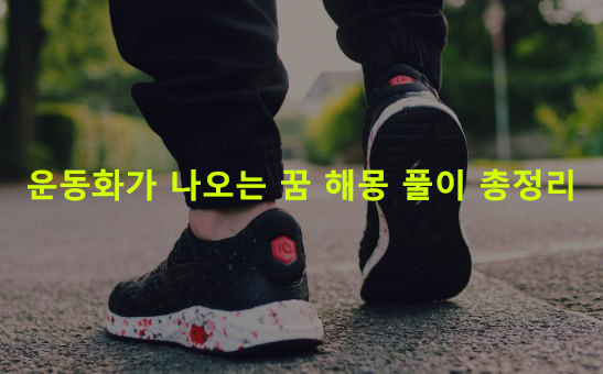 운동화가 나오는 꿈 해몽 풀이 총정리
