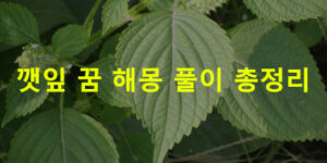 깻잎 꿈 해몽: 따는