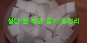 설탕 꿈 해몽 풀이 총정리