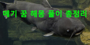 메기 꿈 해몽: 잡는, 큰 메기