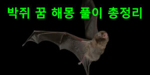 박쥐 꿈 해몽: 황금박쥐, 박쥐떼, 나오는