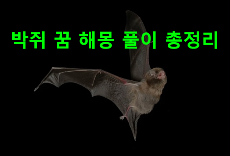 박쥐 꿈 해몽: 황금박쥐, 박쥐떼, 나오는