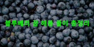 블루베리 꿈 해몽: 따는, 먹는, 태몽