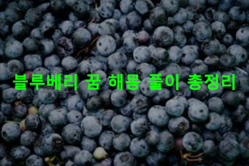 블루베리 꿈 해몽: 따는, 먹는, 태몽