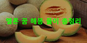 멜론 꿈 해몽: 먹는, 따는
