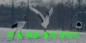 학 꿈 해몽: 나오는, 날아가는, 태몽