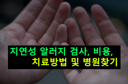 지연성 알러지 검사, 비용, 치료방법 및 병원찾기