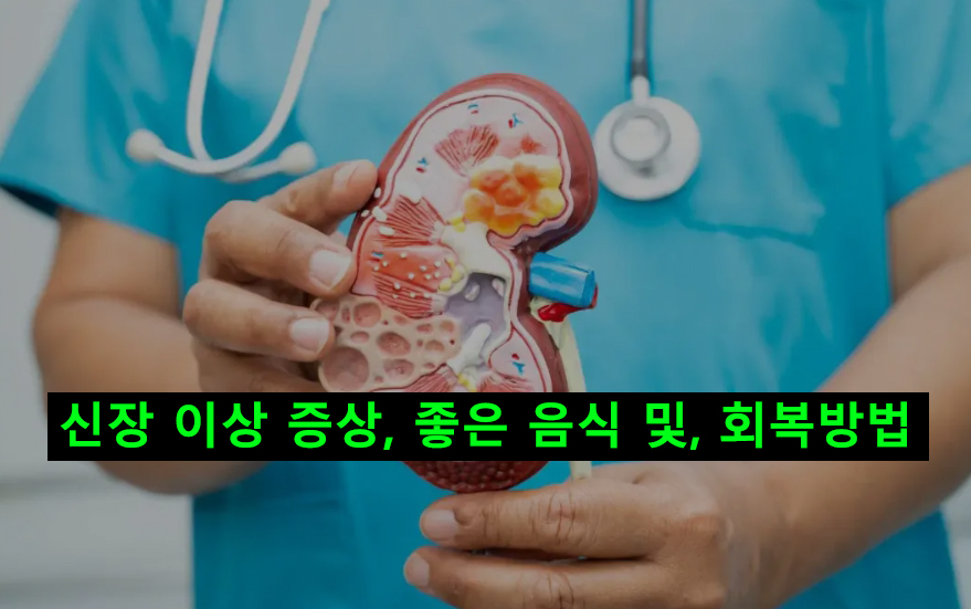 신장 이상 증상, 좋은 음식 및, 회복방법