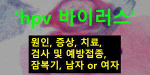 hpv 바이러스 원인, 증상, 치료, 검사 및 예방접종, 잠복기, 남자 or 여자