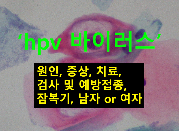 hpv 바이러스 원인, 증상, 치료, 검사 및 예방접종, 잠복기, 남자 or 여자