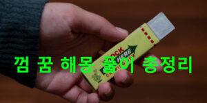 껌 꿈 해몽 풀이 총정리