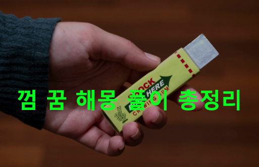 껌 꿈 해몽 풀이 총정리