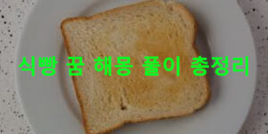식빵 꿈 해몽 풀이 총정리