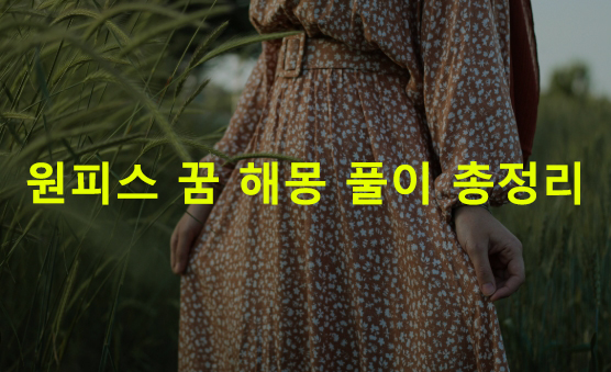 원피스 꿈 해몽: 흰, 검정, 빨간, 입는