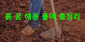 흙 꿈 해몽: 검은흙, 먹는, 황토흙, 흙먼지