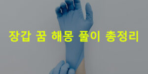 장갑 꿈 해몽: 흰, 고무, 가죽, 장갑끼는