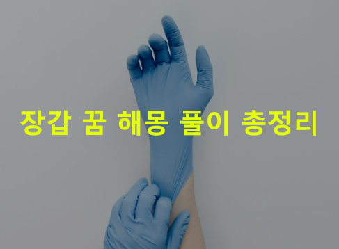 장갑 꿈 해몽: 흰, 고무, 가죽, 장갑끼는