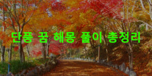 단풍 꿈 해몽 풀이 총정리