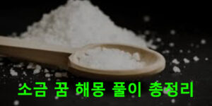 소금 꿈 해몽 풀이 총정리
