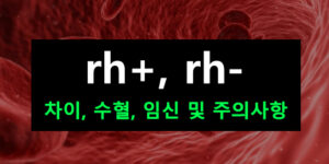rh+, rh- 차이, 수혈, 임신 및 주의사항