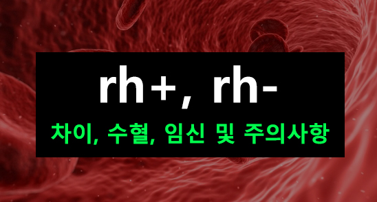 rh+, rh- 차이, 수혈, 임신 및 주의사항