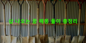 삽 나오는 꿈 해몽 풀이 총정리